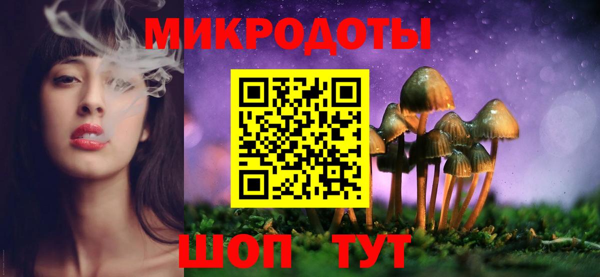 Псилоцибиновые грибы Psilocybine cubensis  Вход с VPN  Химки 
